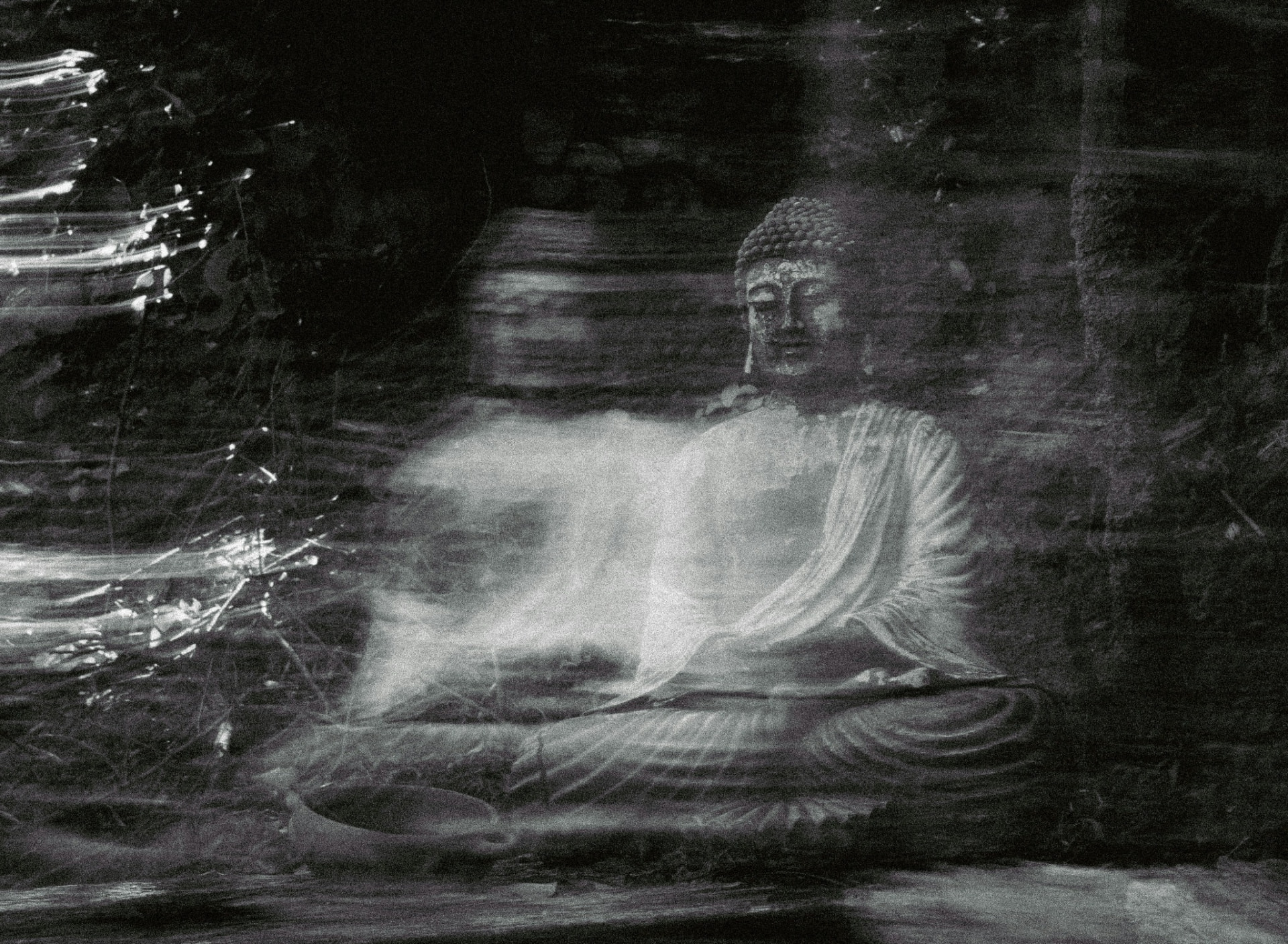 Dualistic mind