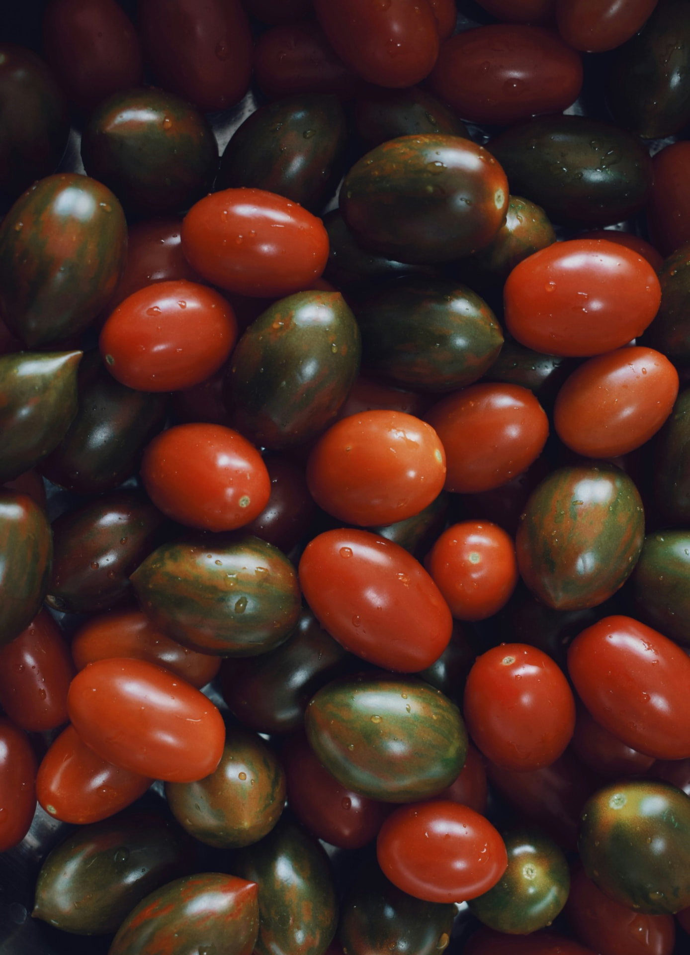 Fresh tomatoes